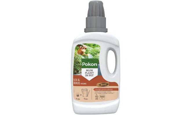 Bio buxus/ilexvoeding 500ml