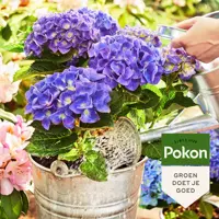 Bio hortensia potgrond, rhp, Pokon, 30 liter - afbeelding 2