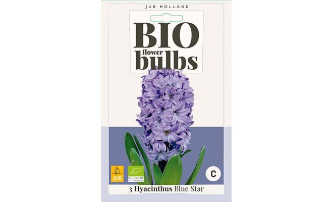 Bio hyacinthus blue star 3st