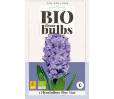 Bio hyacinthus blue star 3st