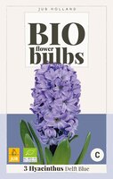 Bio hyacinthus delft blue 3 stuks