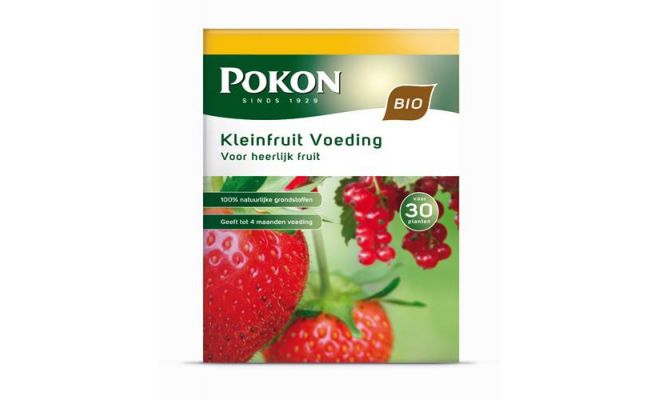 Bio kleinfruit voeding, Pokon, 1 kg - afbeelding 1