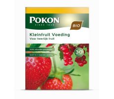 Bio kleinfruit voeding, Pokon, 1 kg - afbeelding 1