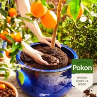 Bio mediterrane planten potgrond, rhp, Pokon, 30 liter - afbeelding 2