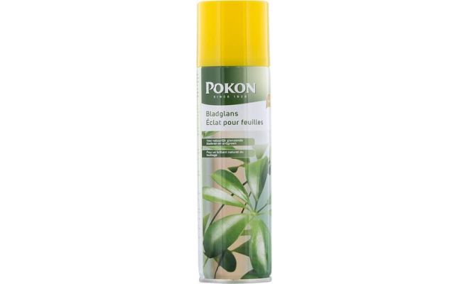 Bladglans, Pokon, 250 ml