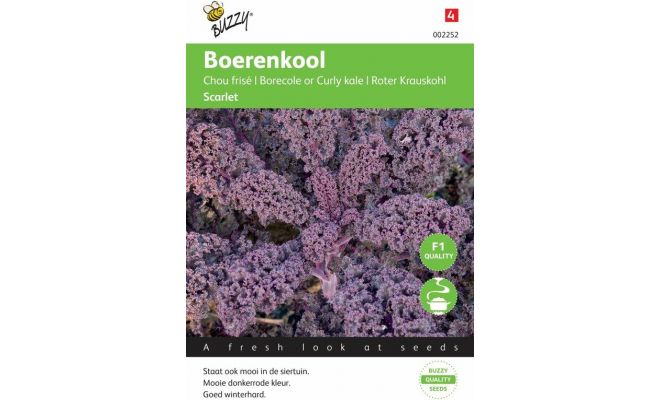 Boerenkool scarlet paars 2g - afbeelding 1