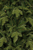 Bolton kerstboom groen, 2572 tips - H215xD145cm - afbeelding 3