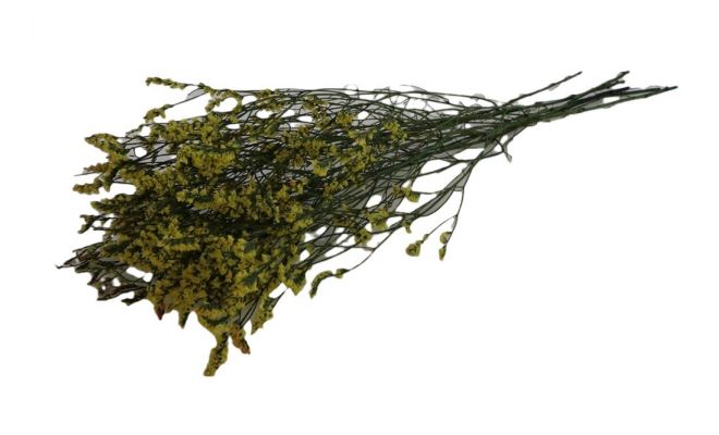 Bos limonium 50g l70d75 slv naturel