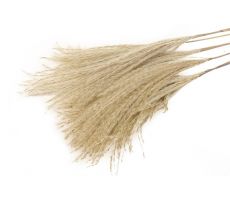 Bos silver gras l75cm naturel