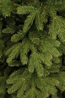 Brampton kerstboom slim groen 1675 tips - H215 x Ø125 cm - afbeelding 2