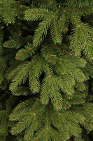 Brampton kerstboom slim groen, 1675 tips - H215xD125cm - afbeelding 7