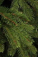 Brampton kerstboom slim groen, 1675 tips - H215xD125cm - afbeelding 6