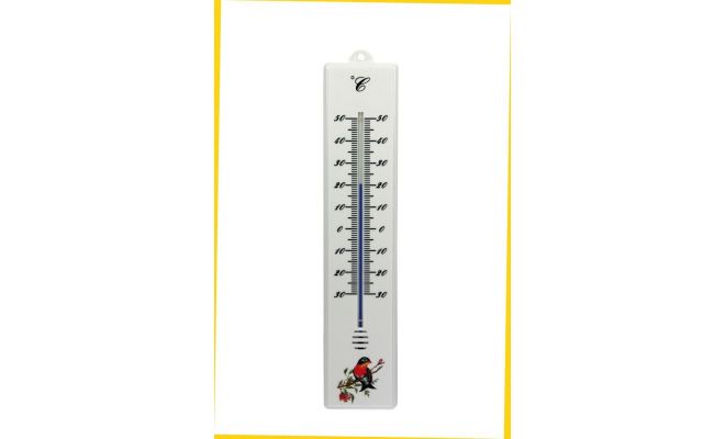 Buitenthermometer kunststof l32cm