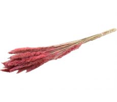 Bunch Fluffy Pampas Slv 35gr 75-80