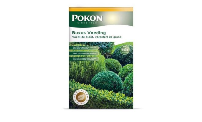 Buxus voeding, Pokon, 2.5 kg - afbeelding 1