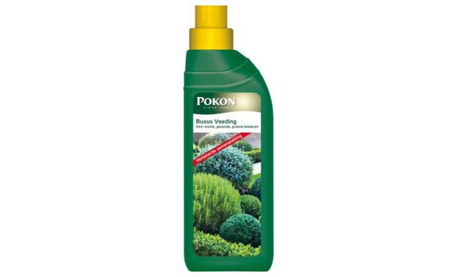 Buxus voeding, Pokon, 500 ml - afbeelding 1