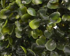 Buxusbal pe D 26cm groen - afbeelding 2