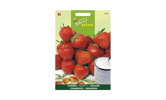 Buzzy® Aardbeien Grandian F1 - afbeelding 1