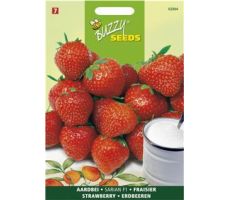 Buzzy® Aardbeien Grandian F1 - afbeelding 1