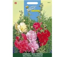 Buzzy® Althaea, Stokroos Summer Carnival - afbeelding 1