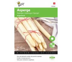 Buzzy® Asperge Argenteuil