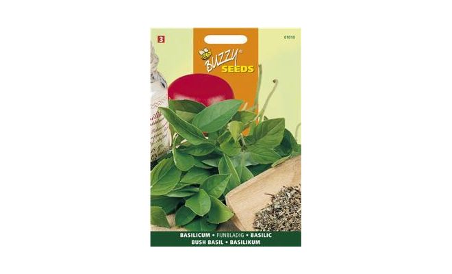 Buzzy® Basilicum Fijne - afbeelding 1