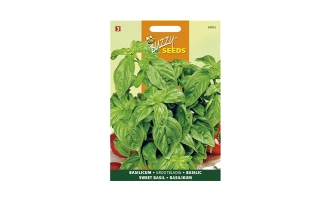 Buzzy® Basilicum Grootbladig - afbeelding 1