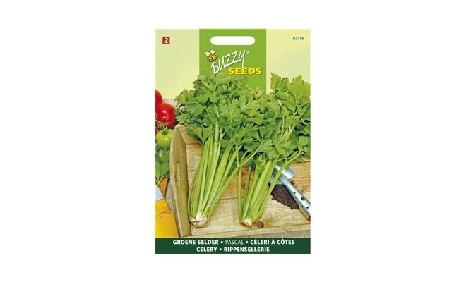 Buzzy® Bleekselderij Pascal, Groene Volpijp - afbeelding 1