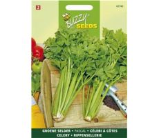 Buzzy® Bleekselderij Pascal, Groene Volpijp - afbeelding 1