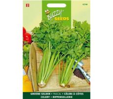 Buzzy® Bleekselderij Pascal, Groene Volpijp - afbeelding 2