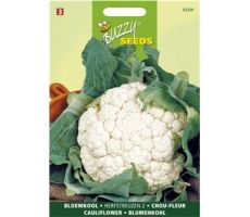 Buzzy® Bloemkool Herfstreuzen 2 - afbeelding 2