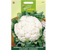 Buzzy® Bloemkool Walcheren Winter 5 - afbeelding 1