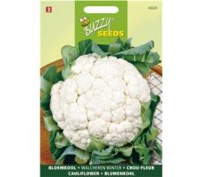 Buzzy® Bloemkool Walcheren Winter 5 - afbeelding 2