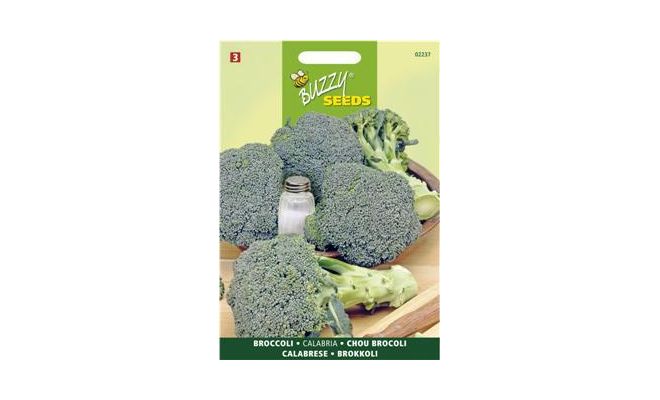Buzzy® Broccoli Calabrese natalino, groen - afbeelding 1