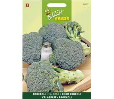 Buzzy® Broccoli Calabrese natalino, groen - afbeelding 1