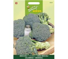 Buzzy® Broccoli Calabrese natalino, groen - afbeelding 2