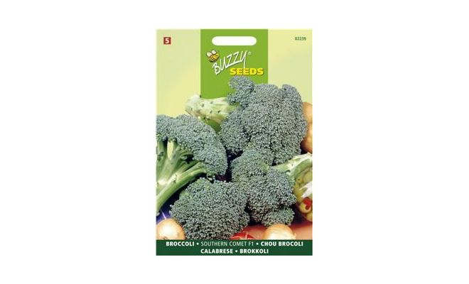 Buzzy® Broccoli Marathon F1 - afbeelding 1