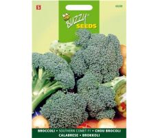 Buzzy® Broccoli Marathon F1 - afbeelding 2