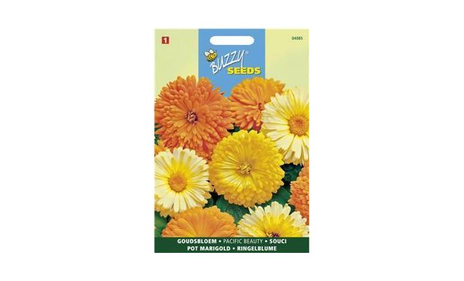 Buzzy® Calendula, Goudbloem Pacific Beauty gemengd - afbeelding 1