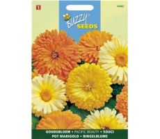 Buzzy® Calendula, Goudbloem Pacific Beauty gemengd - afbeelding 1