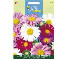 Buzzy® Callistephus, Zomeraster enkelbloemig gemengd - afbeelding 1