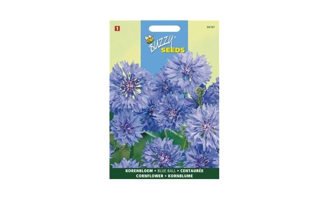 Buzzy® Centaurea, Korenbloem Blue Ball dubbelbloemig - afbeelding 1