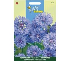 Buzzy® Centaurea, Korenbloem Blue Ball dubbelbloemig - afbeelding 1