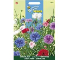 Buzzy® Centaurea, Korenbloem dubbelbloemig gemengd - afbeelding 1