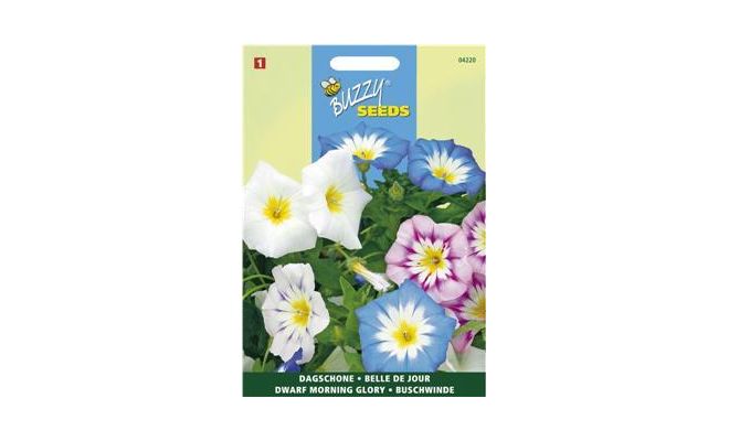 Buzzy® Convolvulus, Dagschone gemengd - afbeelding 1