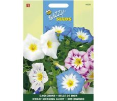 Buzzy® Convolvulus, Dagschone gemengd - afbeelding 1