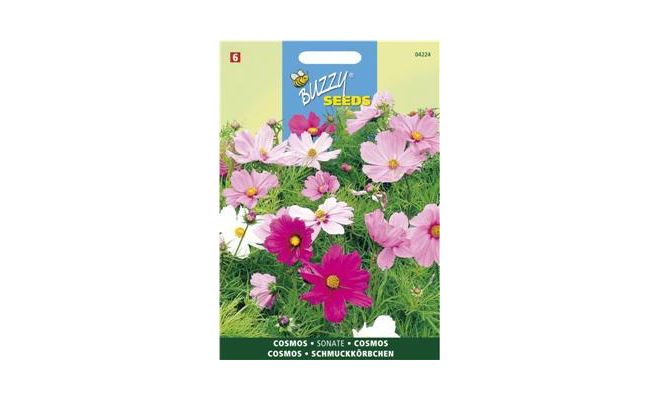 Buzzy® Cosmos, Cosmea Sonata gemengd - afbeelding 1