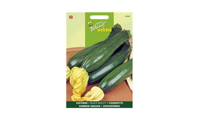 Buzzy® Courgette Black Beauty - Verte De Milan - afbeelding 1