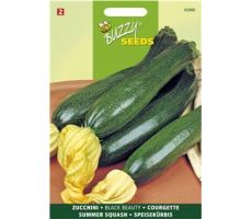 Buzzy® Courgette Black Beauty - Verte De Milan - afbeelding 1