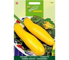 Buzzy® Courgette Gold Rush F1 - afbeelding 2